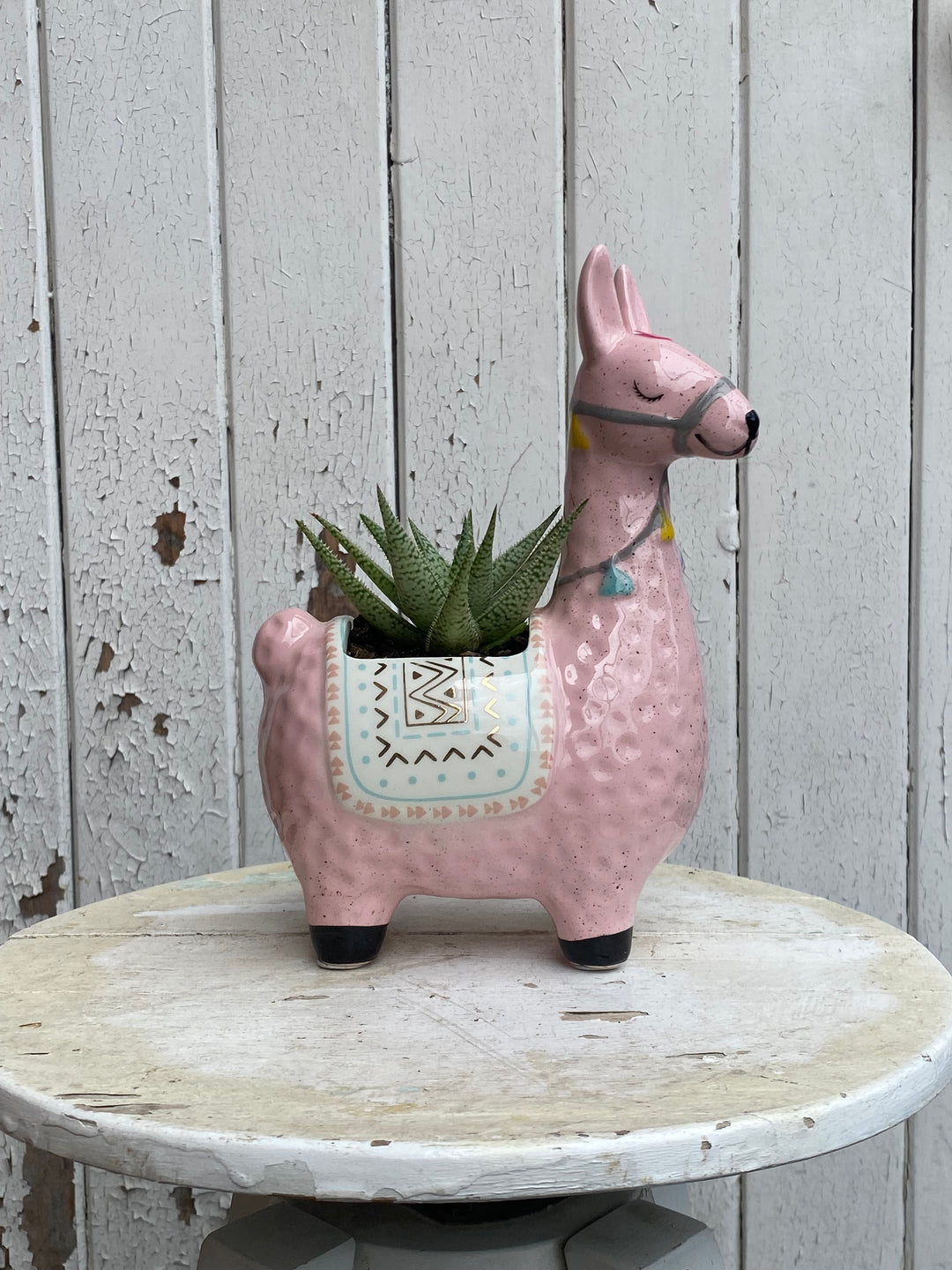 llama succulent pot Llama pot with succulent