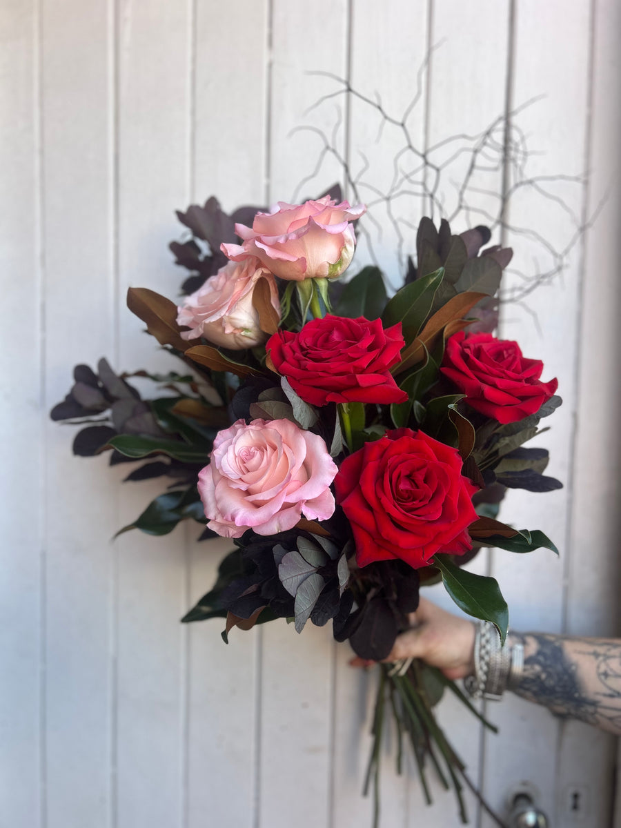 6 Columbian roses with beautiful foliage – Spotted Orchid