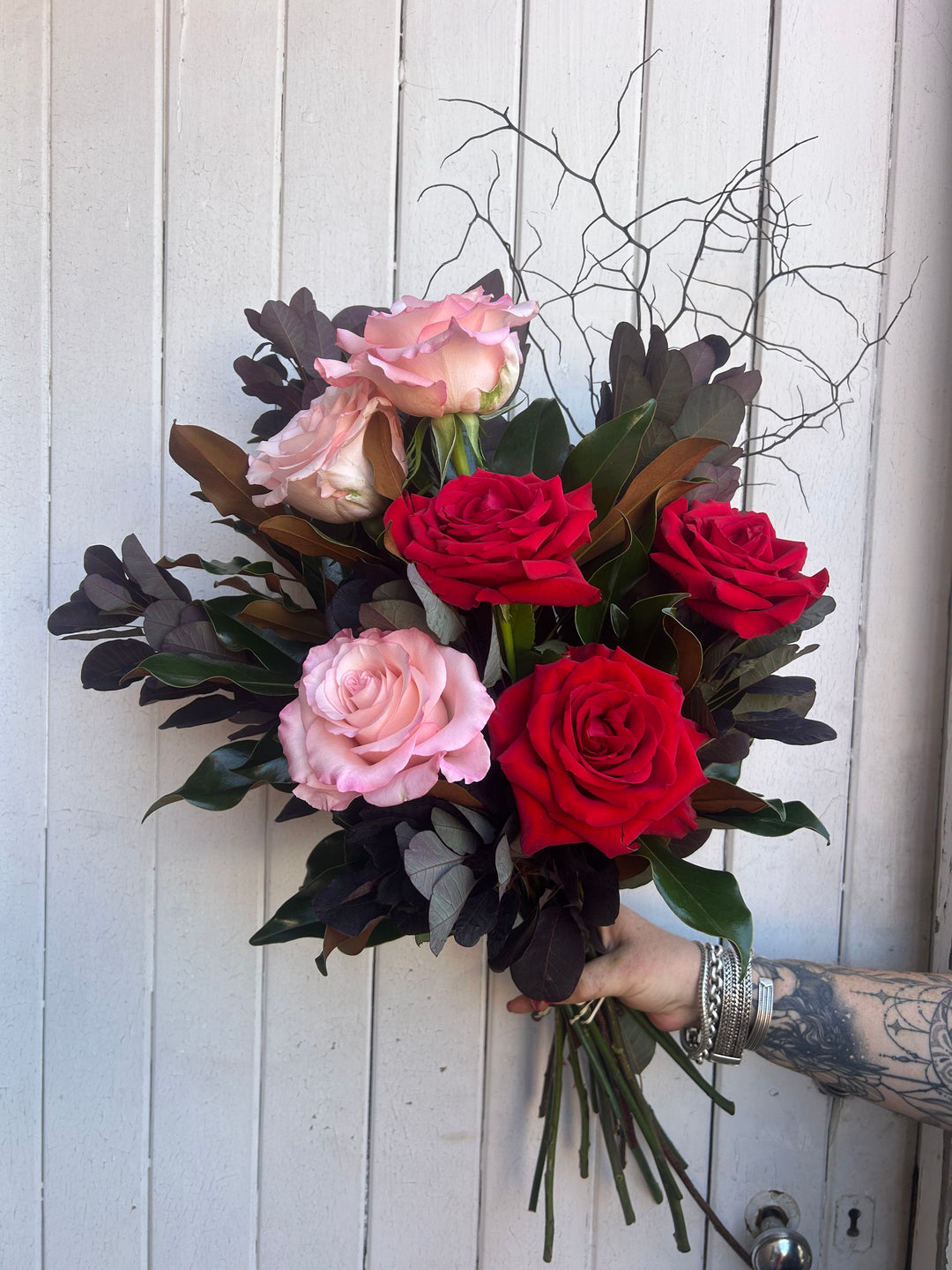 6 Columbian roses with beautiful foliage – Spotted Orchid
