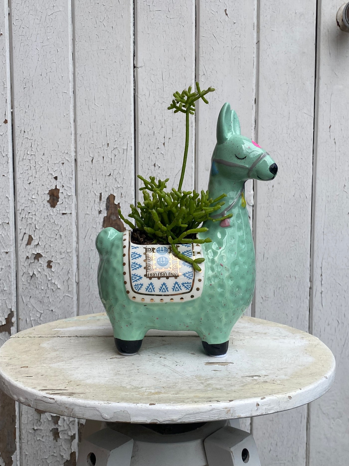 llama succulent pot Llama pot with succulent