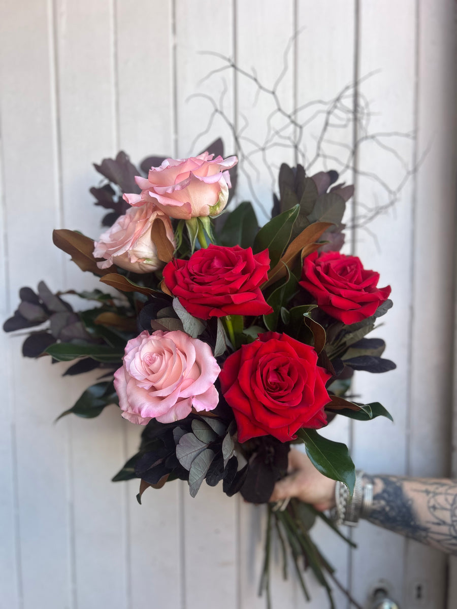 Columbia Red Roses 6 Columbian roses with beautiful foliage – Spotted Orchid