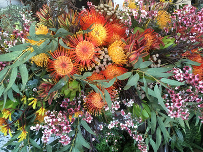 Casket Cover - Native blooms, textured and bright