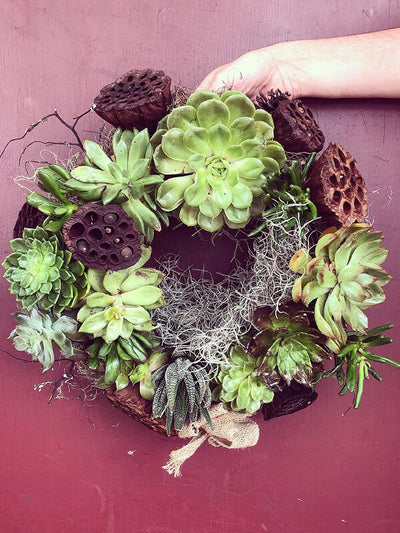 Bright Succulent Christmas Wreath