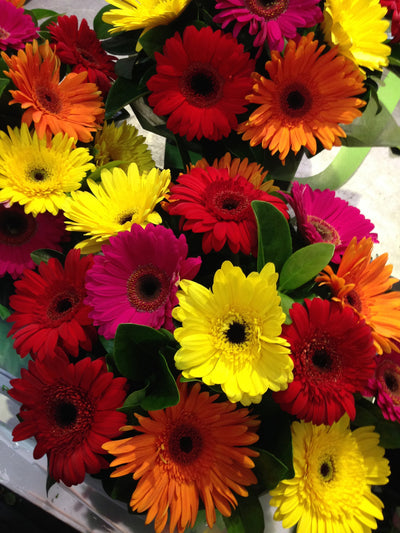 Flower Bouquet Mixed Gerbera Bouquet