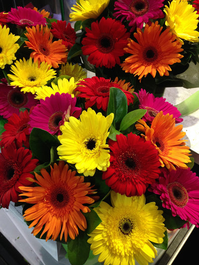 Flower Bouquet Mixed Gerbera Bouquet