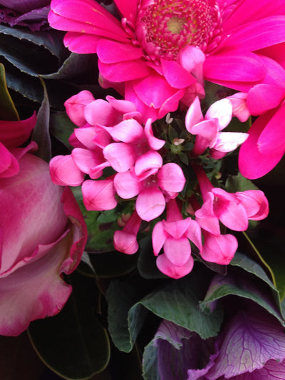 Flower Bouquet Pretty Flower Bouquet