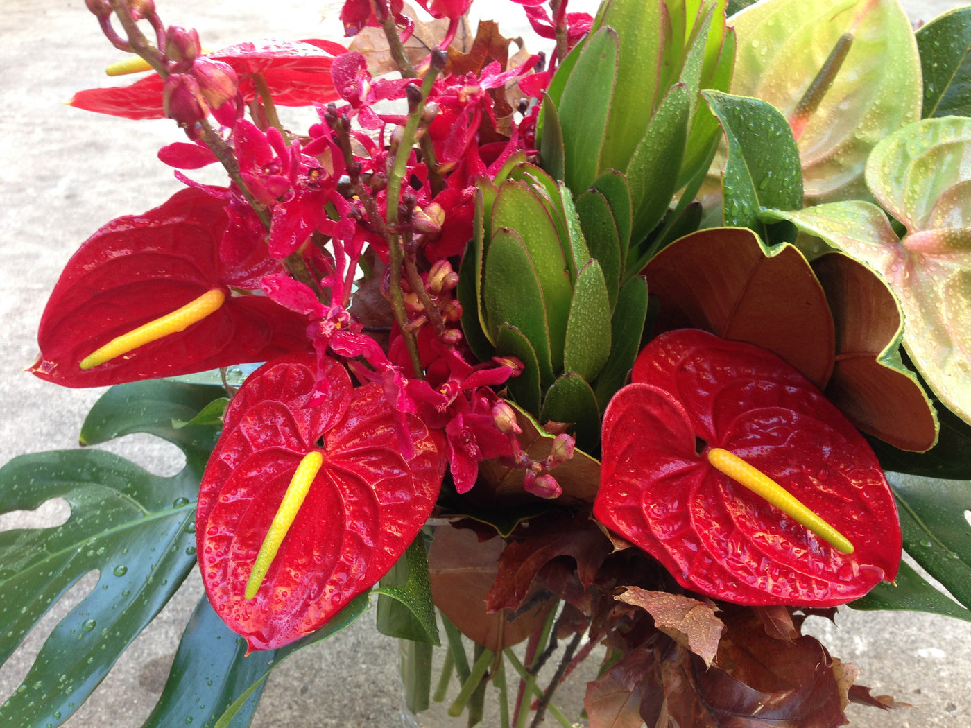 Flower Arrangement Tropical and Lasting Flower Arrangement