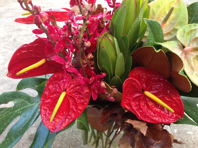 Flower Arrangement Tropical and Lasting Flower Arrangement