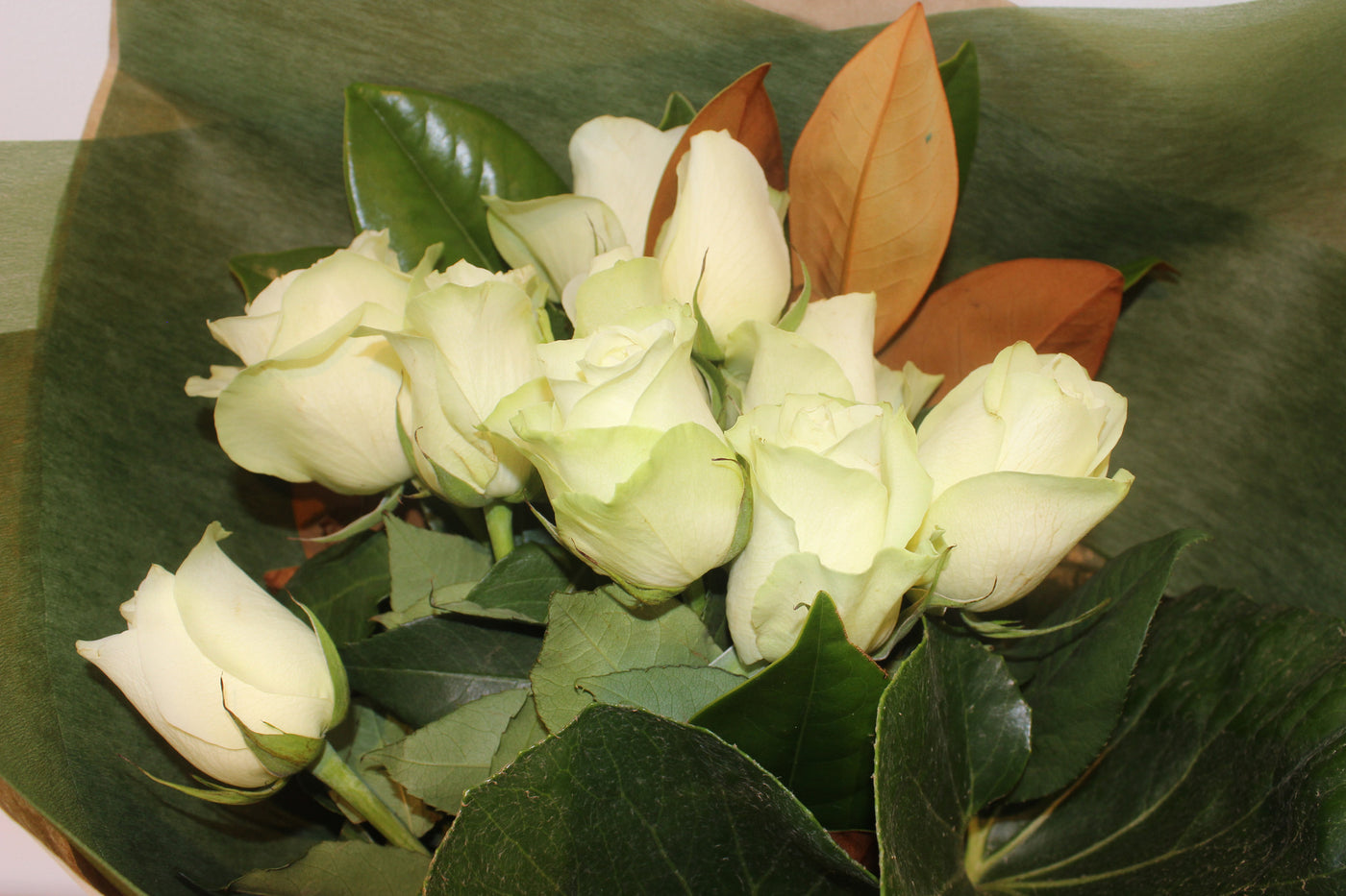 Flower Rose Bouquet White Rose Bouquet