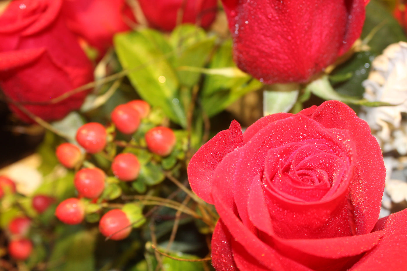 Flowers Red Rose Pot Arrangement