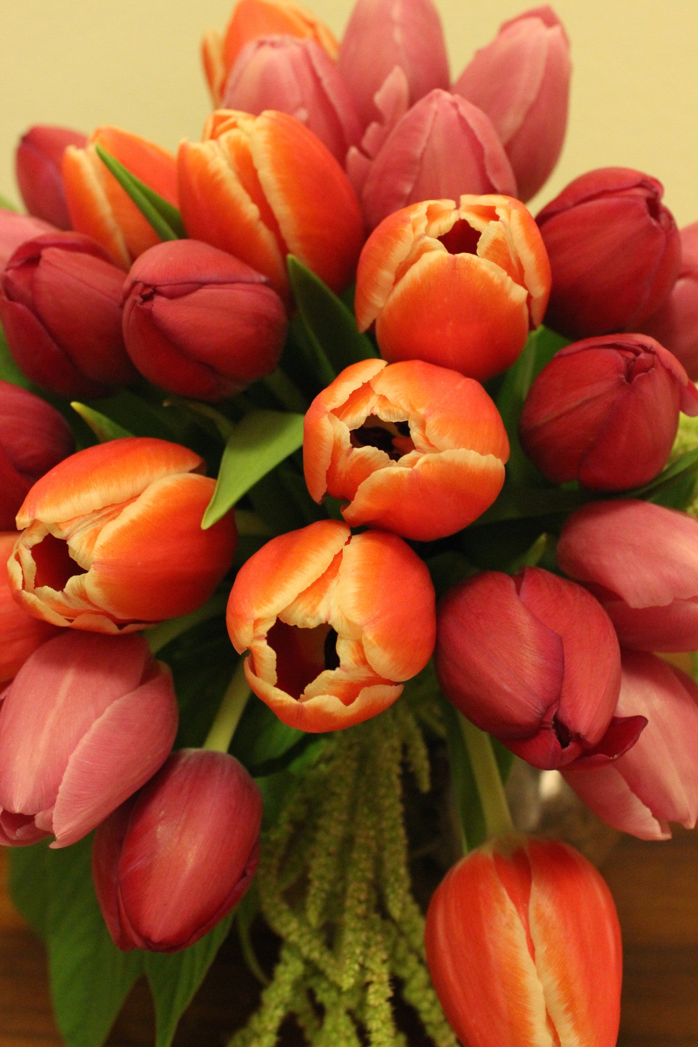 Flower Arrangement Tulip Arrangement