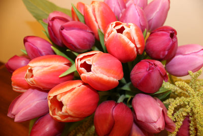 Flower Arrangement Tulip Arrangement