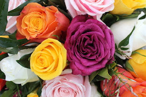 Roses in brighter tones