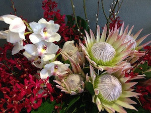 Native and Orchid Floral Arrangement