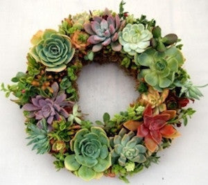 Bright Succulent Christmas Wreath