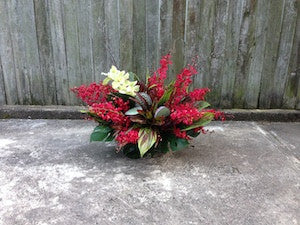 Bromeliad and Blooms Arrangement