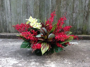 Bromeliad and Blooms Arrangement