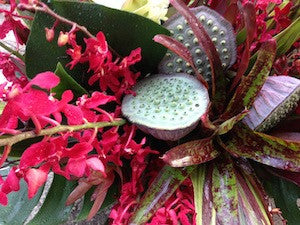 Bromeliad and Blooms Arrangement