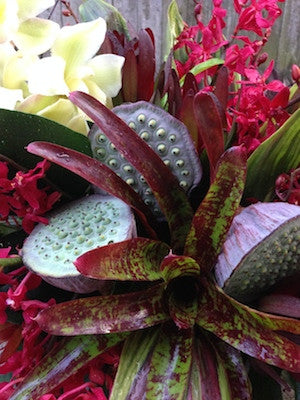 Bromeliad and Blooms Arrangement