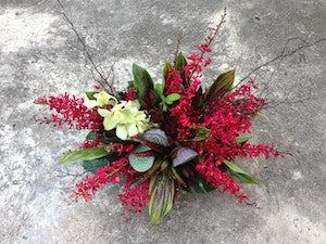 Bromeliad and Blooms Arrangement