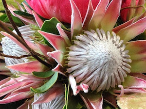 Tropical and Native Bouquet