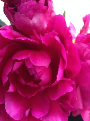 Peony Bouquet
