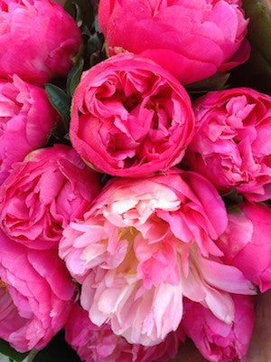 Peony Bouquet