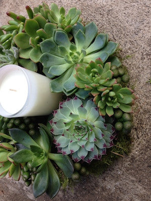 Succulent Wreath with Candle