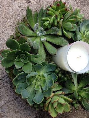 Succulent Wreath with Candle