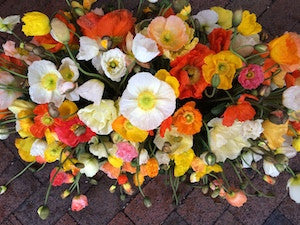 Flower casket