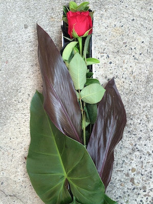 Single Rose Presentation Box