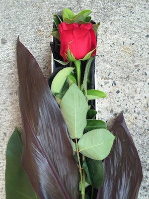 Single Rose Presentation Box
