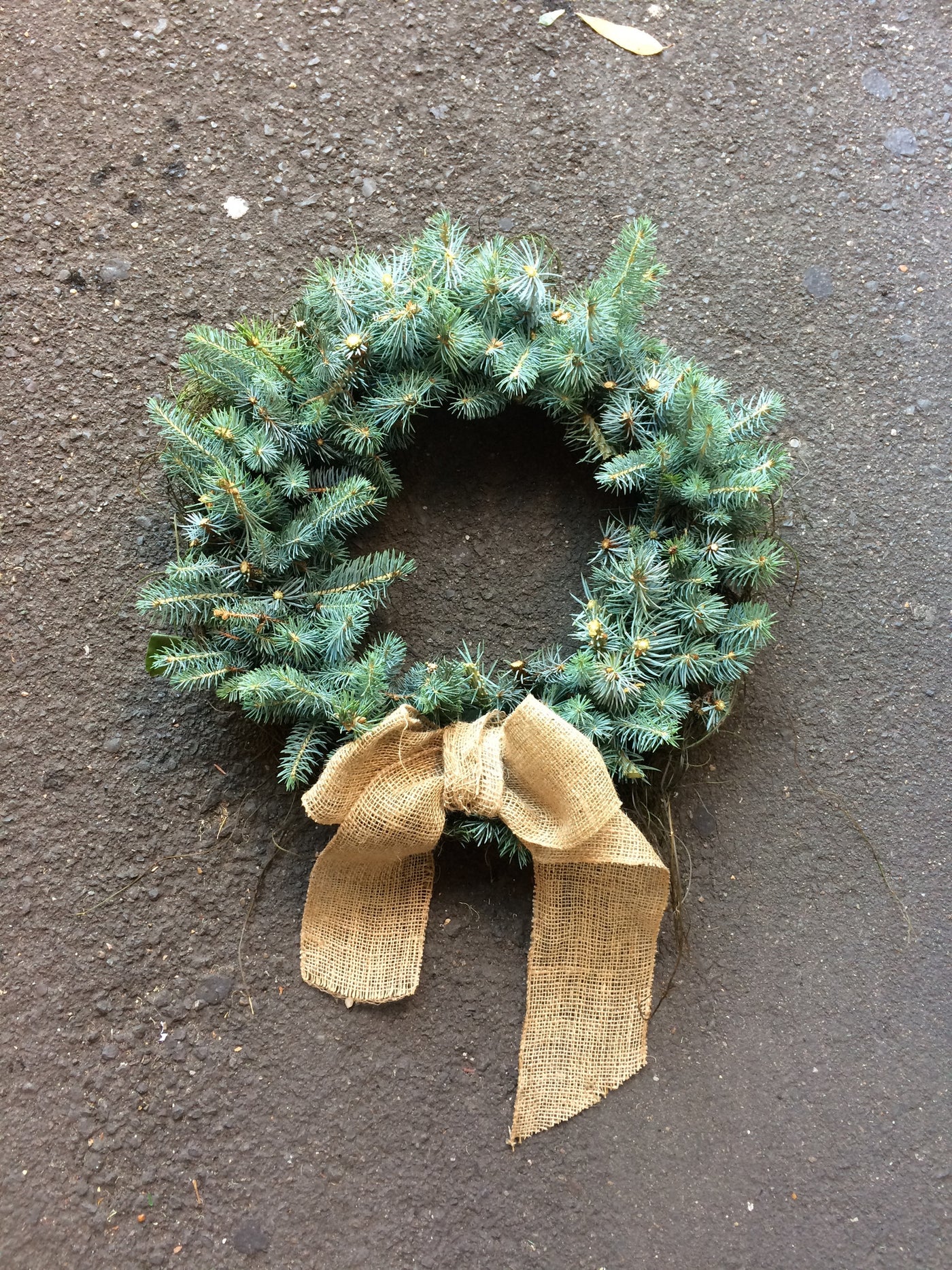 Spruce wreath