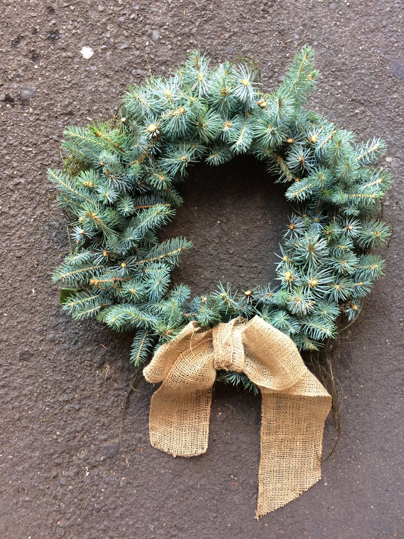 Spruce wreath