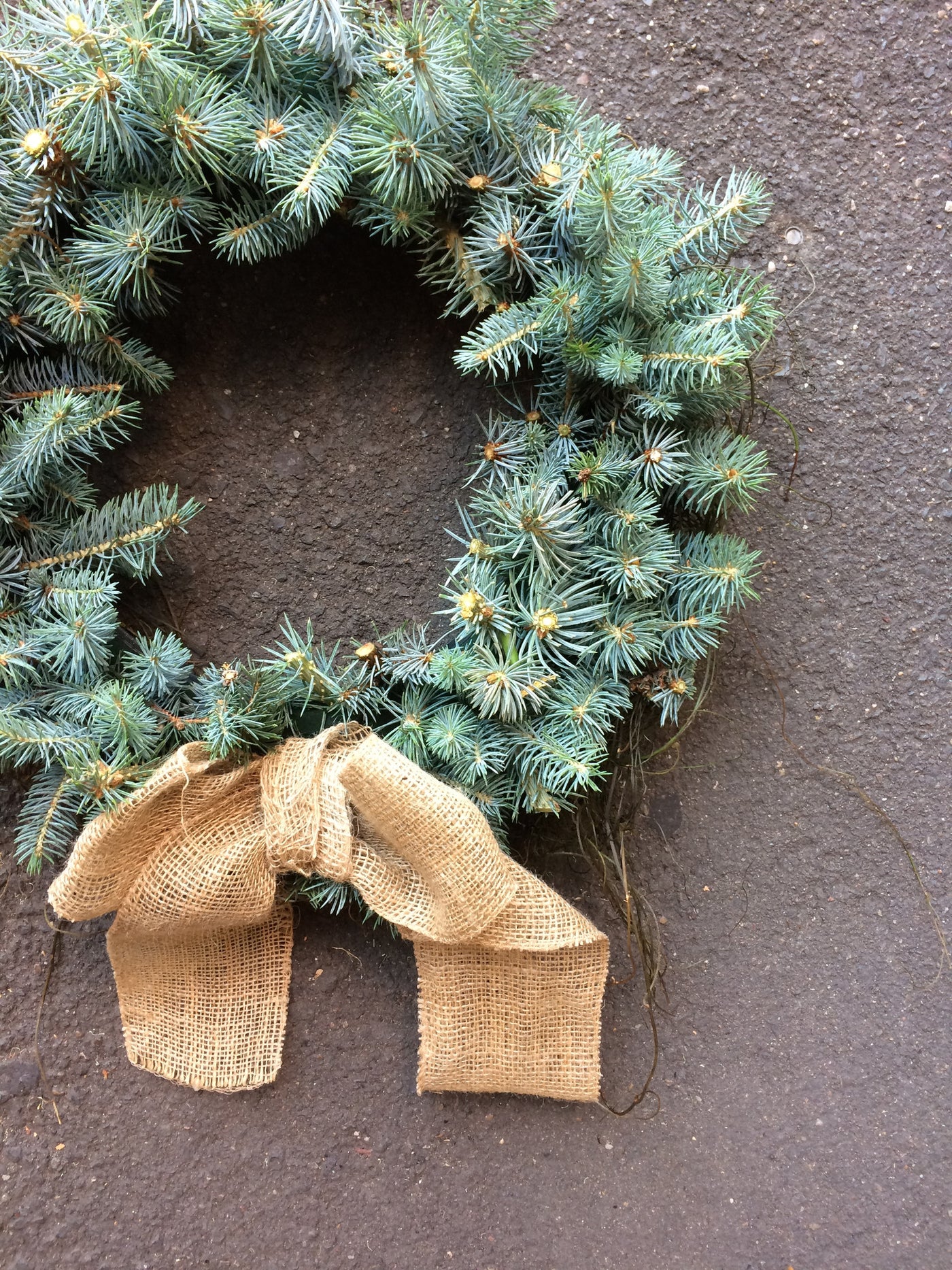 Spruce wreath