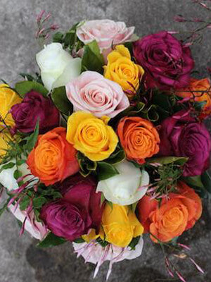 Roses in brighter tones