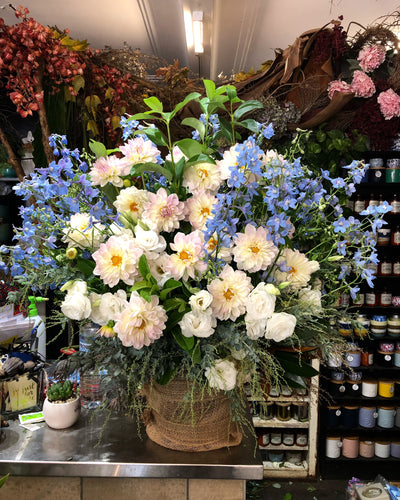Floral explosion