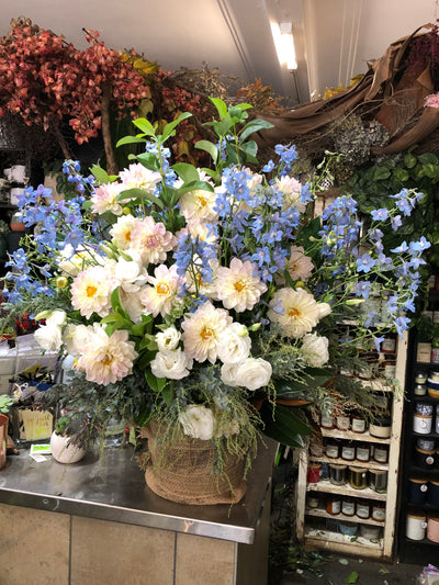 Floral explosion