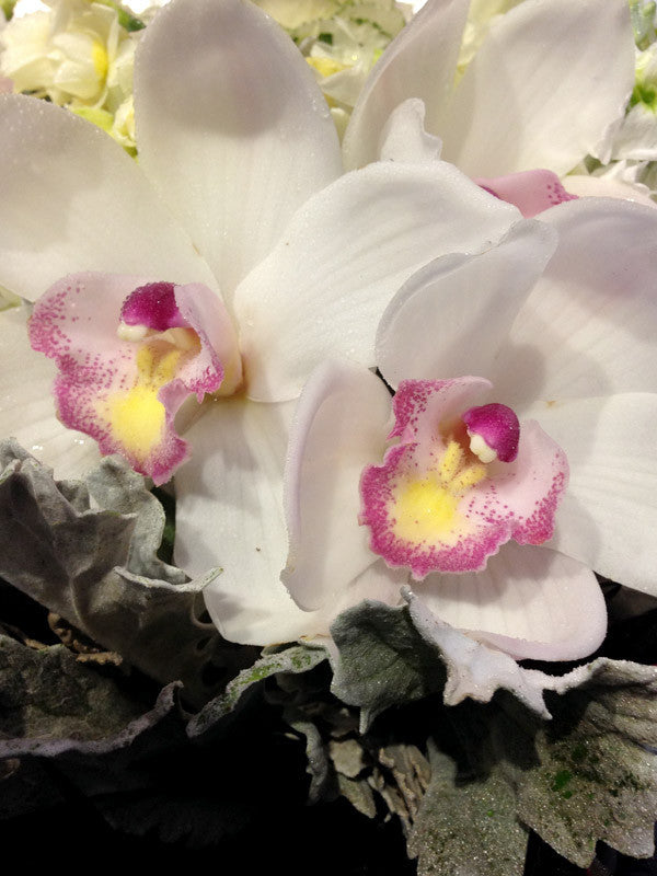 Fragrant Flower Posy