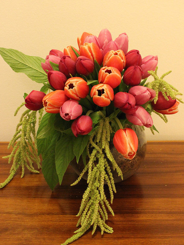 Flower Arrangement Tulip Arrangement